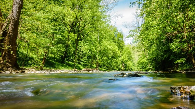 Low level view  of Jessamine Creek in Kentucky
