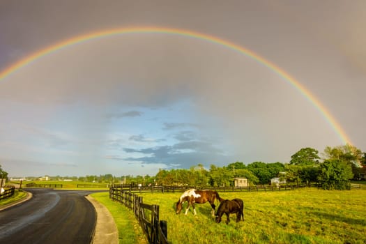 Scenic view of double rainbow over a horse pasture in Central Kentucky