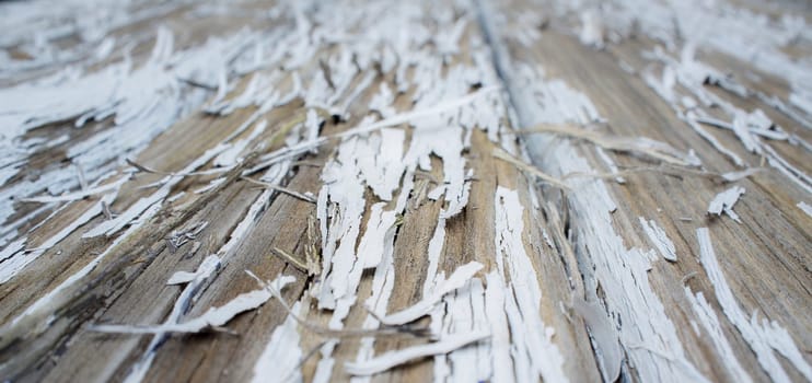 White paint peeling off over wooden surface. Closeup
