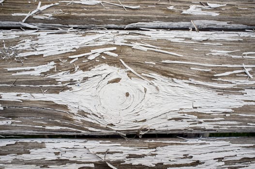 White paint peeling off over wooden surface. Closeup