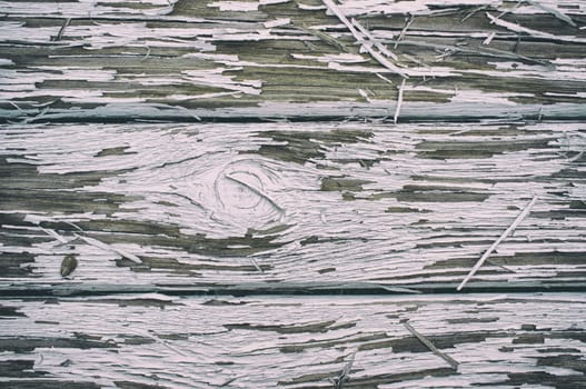 White paint peeling off over wooden surface. Closeup