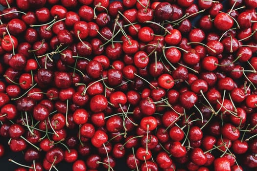 Flat lay background with heap of fresh red sweet cherry. Eco farm food cultivation. Healthy eating lifestyle concept. High quality photo