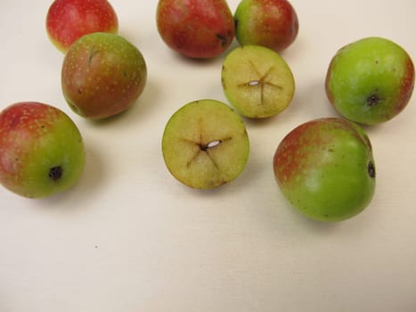Apple fruits from the service tree, Sorbus domestica