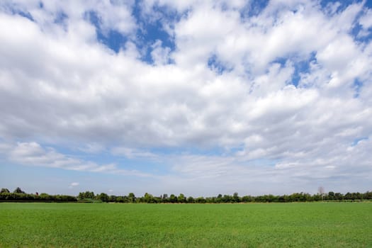 Countryside landscape. Italy. Beautiful typical countryside summer landscape.