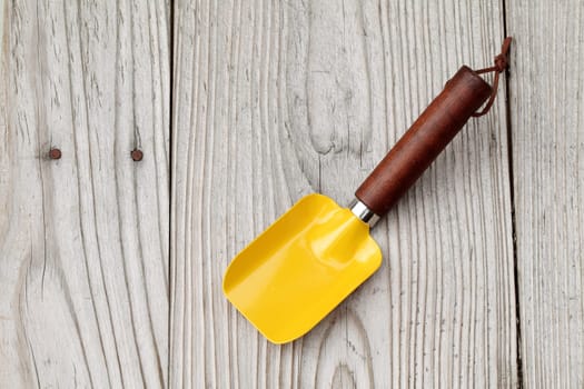 garden tool on wooden table