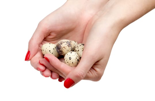 Female Hands Holding Quail Eggs