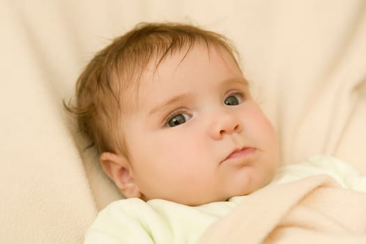 young baby portrait, studio picture