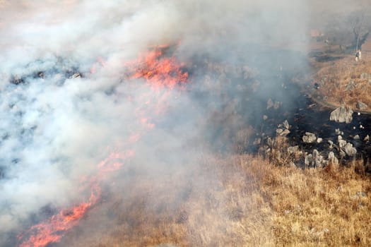 landscape view of a burning land