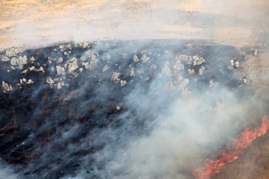 landscape view of a burnt land