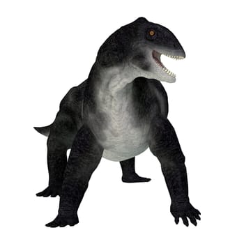 Delphinognathus was a synapsid herbivorous animal that lived in South Africa during the Permian Period.