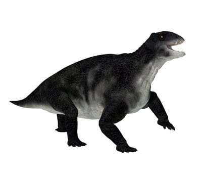 Delphinognathus was a synapsid herbivorous animal that lived in South Africa during the Permian Period.