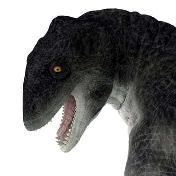 Delphinognathus was a synapsid herbivorous animal that lived in South Africa during the Permian Period.