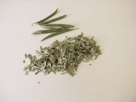 Dried and chopped leaves from the olive tree for olive leaf tea