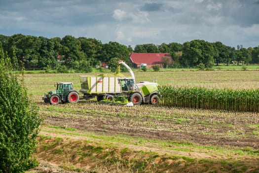 Esens, Germany - October 07, 2020: Distant view of two perfectly working together corn harvesters consisting of a corn chopper and a tractor with a tipping trailer under a cloudy sky.