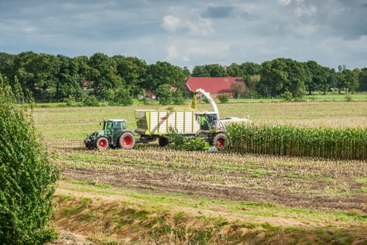 Esens, Germany - October 07, 2020: Distant view of two perfectly working together corn harvesters consisting of a corn chopper and a tractor with a tipping trailer under a cloudy sky.