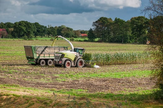 Esens, Germany - October 07, 2020: Distant view of two perfectly working together corn harvesters consisting of a corn chopper and a tractor with a tipping trailer under a cloudy sky.