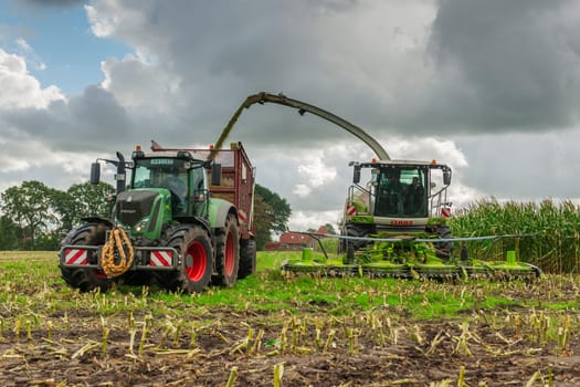 Esens, Germany - October 07, 2020: Corn harvesters consisting of corn chopper and tractor with tipping trailer under a heavily cloudy sky.