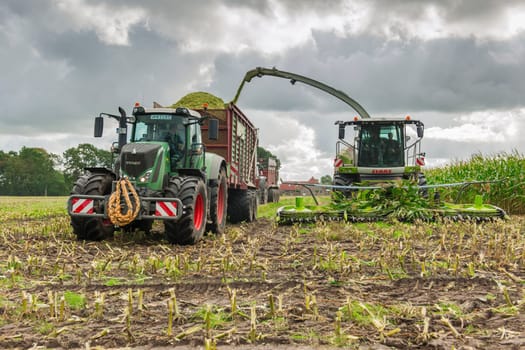 Esens, Germany - October 07, 2020: Corn harvesters consisting of corn chopper and tractor with tipping trailer under a heavily cloudy sky.