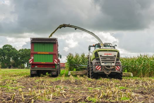Esens, Germany - October 07, 2020: Rear view of two corn harvesters consisting of a corn chopper and a tractor with a tipping trailer under a heavily cloudy sky.