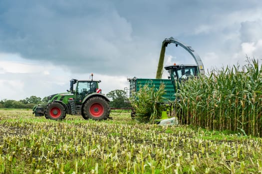 Esens, Germany - October 07, 2020: Side view of two perfectly working together corn harvesters consisting of a corn chopper and a tractor with a tipping trailer under a heavily cloudy sky.