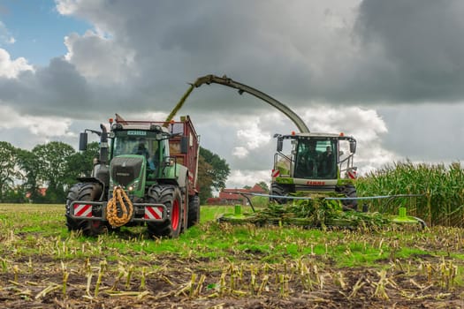 Esens, Germany - October 07, 2020: Corn harvesters consisting of corn chopper and tractor with tipping trailer under a heavily cloudy sky.