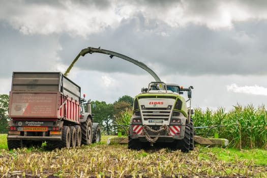 Esens, Germany - October 07, 2020: Rear view of two corn harvesters consisting of a corn chopper and a tractor with a tipping trailer under a heavily cloudy sky.