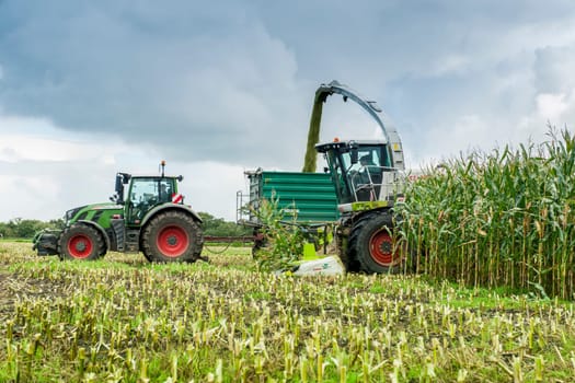 Esens, Germany - October 07, 2020: Side view of two perfectly working together corn harvesters consisting of a corn chopper and a tractor with a tipping trailer under a heavily cloudy sky.