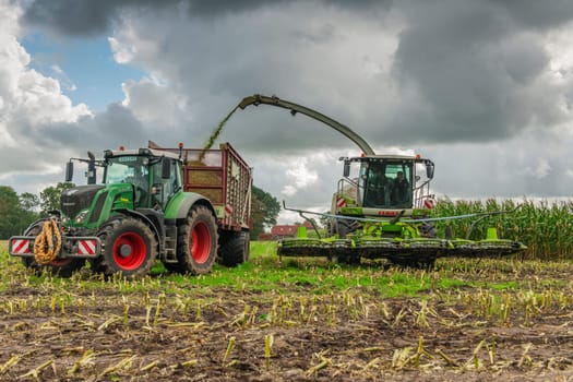 Esens, Germany - October 07, 2020: Corn harvesters consisting of corn chopper and tractor with tipping trailer under a heavily cloudy sky.