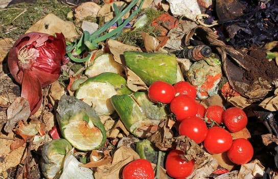 Discarded and spoiled food in a trash pile. Compostable organic waste