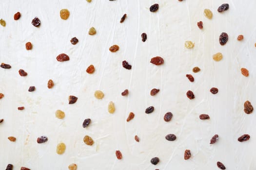 Raisins on the background of rolled dough. Flat lay.