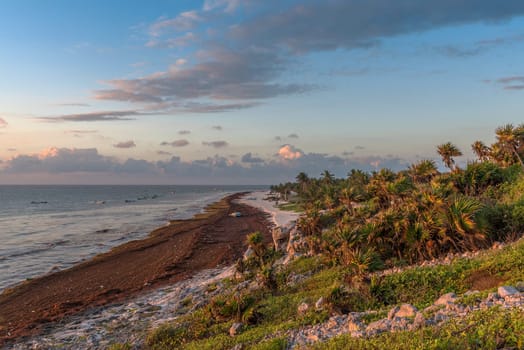 the beach at Tulum, Quintana Roo, in the morning, Mexico