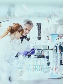 Health care researchers working in life scientific laboratory. Female research scientist and senior male supervisor looking focused at tablet computer screen evaluating and analyzing microscope image.