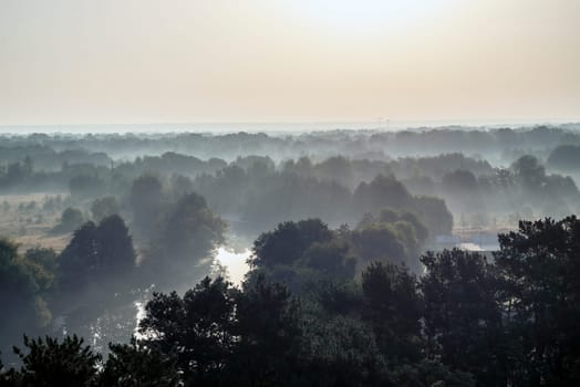 foggy landscape, over deciduous forest and meadow, early in the morning. water surface is visible in the distance between the trees, sun is reflected in the water surface. fog to the horizon. horizontal