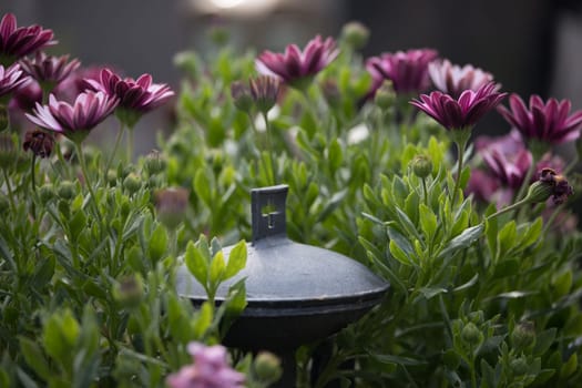 Close up of iron holy water bowl on a cemetery