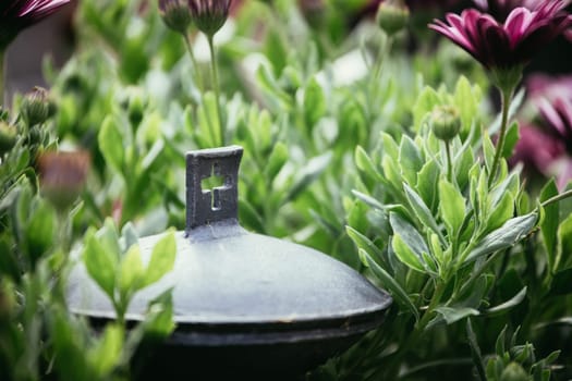 Close up of iron holy water bowl on a cemetery