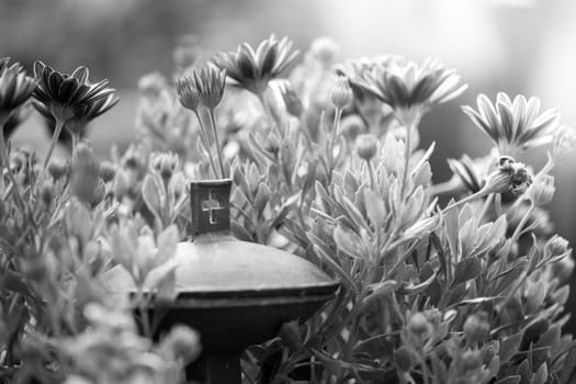 Close up of iron holy water bowl on a cemetery