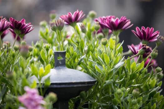 Close up of iron holy water bowl on a cemetery