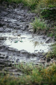 Puddle of mud on field, water