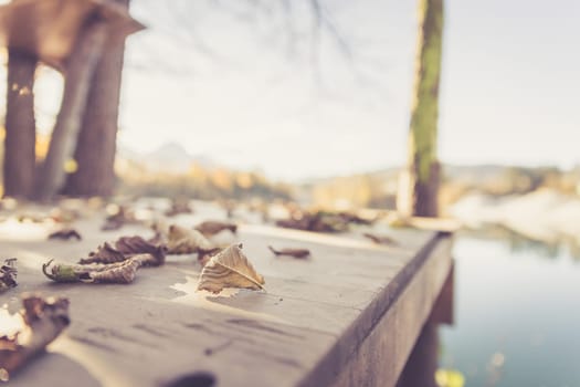 Colourful leaves lying on a footbridge, blurry autumn scenery in the background