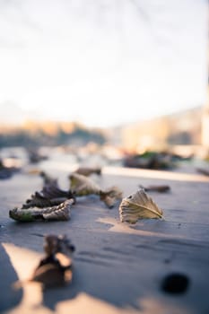 Colourful leaves lying on a footbridge, blurry autumn scenery in the background