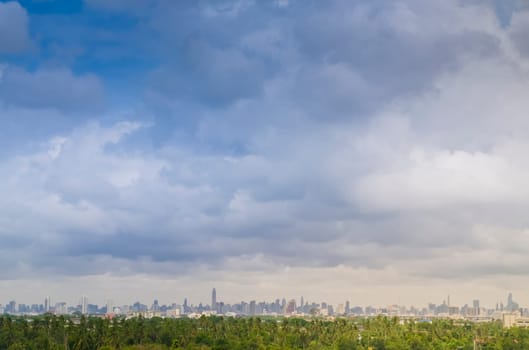 City. Architectural modern buildings in panoramic view on background .Tree nature area .the nature and modern city life. Urban concept .zoning idea save environment