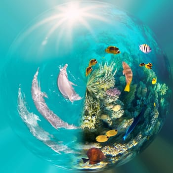 Underwater scene with dolphins and colorful coral reef full of red fish. Marine life postcard