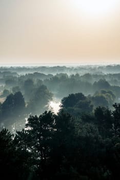 foggy landscape, over deciduous forest, early morning. water surface is visible in the distance between trees, sun is reflected in the water surface. fog to the horizon. vertical