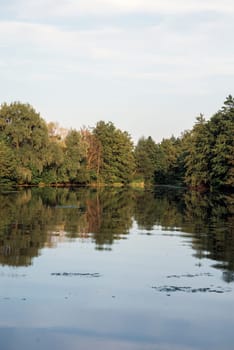 Beautiful summer lake, trees reflected in water, with calm lake surface. trees and bushes reflected in lake. vertical. deciduous trees and pine trees.. A pond of water. High quality photo.