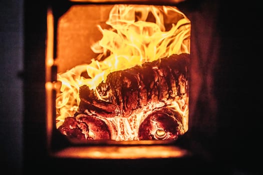 Blaze fire flame in oven, orange and black