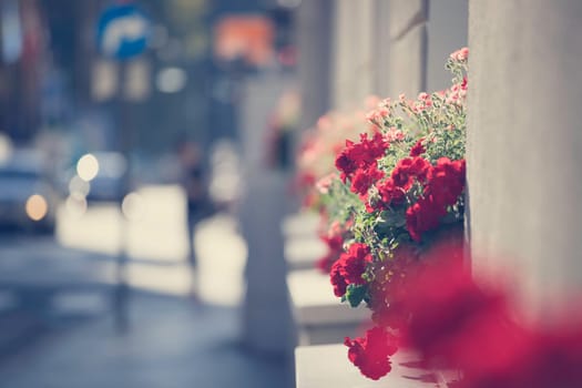 City flair on a shopping avenue in summer time