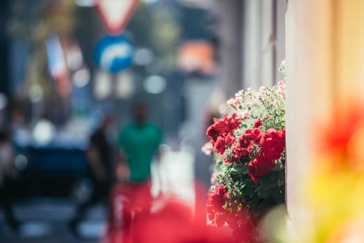 City flair on a shopping avenue in summer time