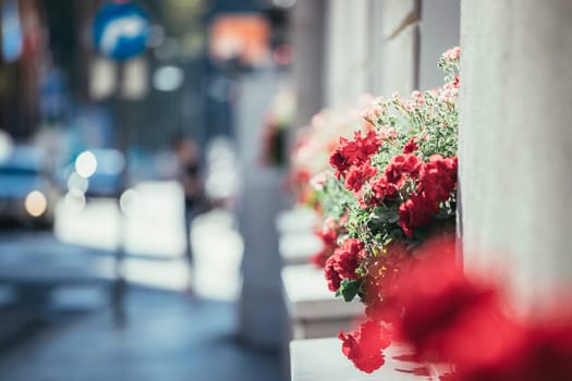 City flair on a shopping avenue in summer time