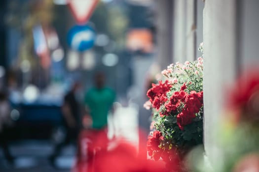 City flair on a shopping avenue in summer time