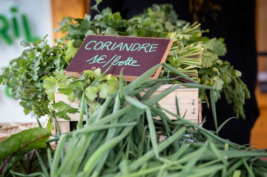 selling fresh coriander on the market of an urban farm